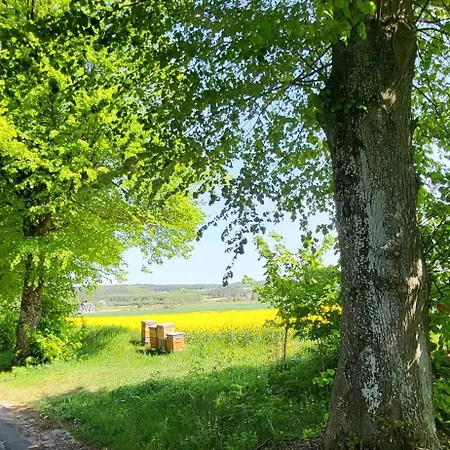 Domek Z Prywatnym Duzym Jacuzzi I Sauna Przystan Pod Niebem Leczyce Exterior photo